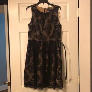 Lace Cocktail Dress • Jessica Howard